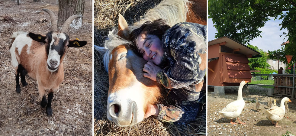 "Ho trasformato la mia passione per gli animali in un lavoro a tempo pieno"